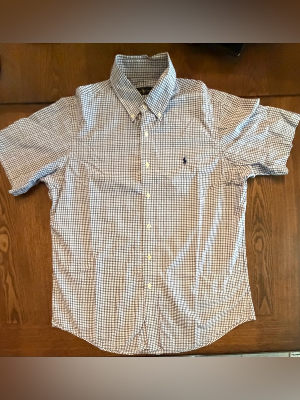 Polo by Ralph Lauren Blue and White Micro-Check Short-Sleeve Button-Down Shirt